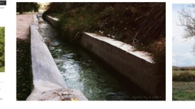 Raíces del Agua