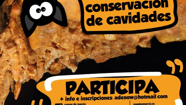 Limpieza y conservación de cavidades en el Territorio Integral